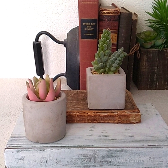 2 Small Fake Succulent Cactus potted plants - Picture 2 of 9